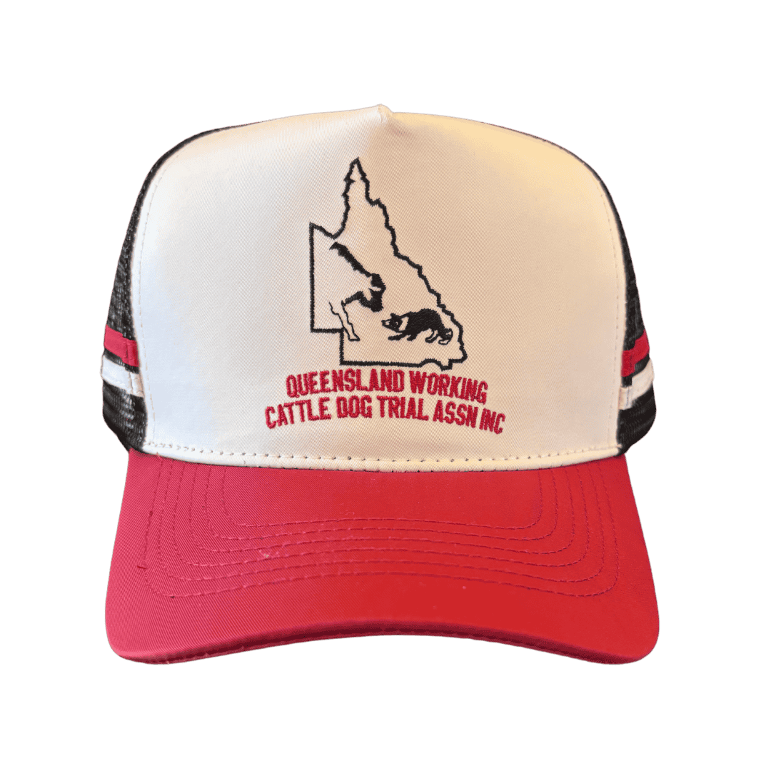 QWCDTAI Trucker Cap